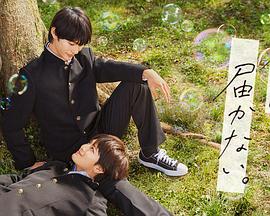 郑州seo学习网站优化